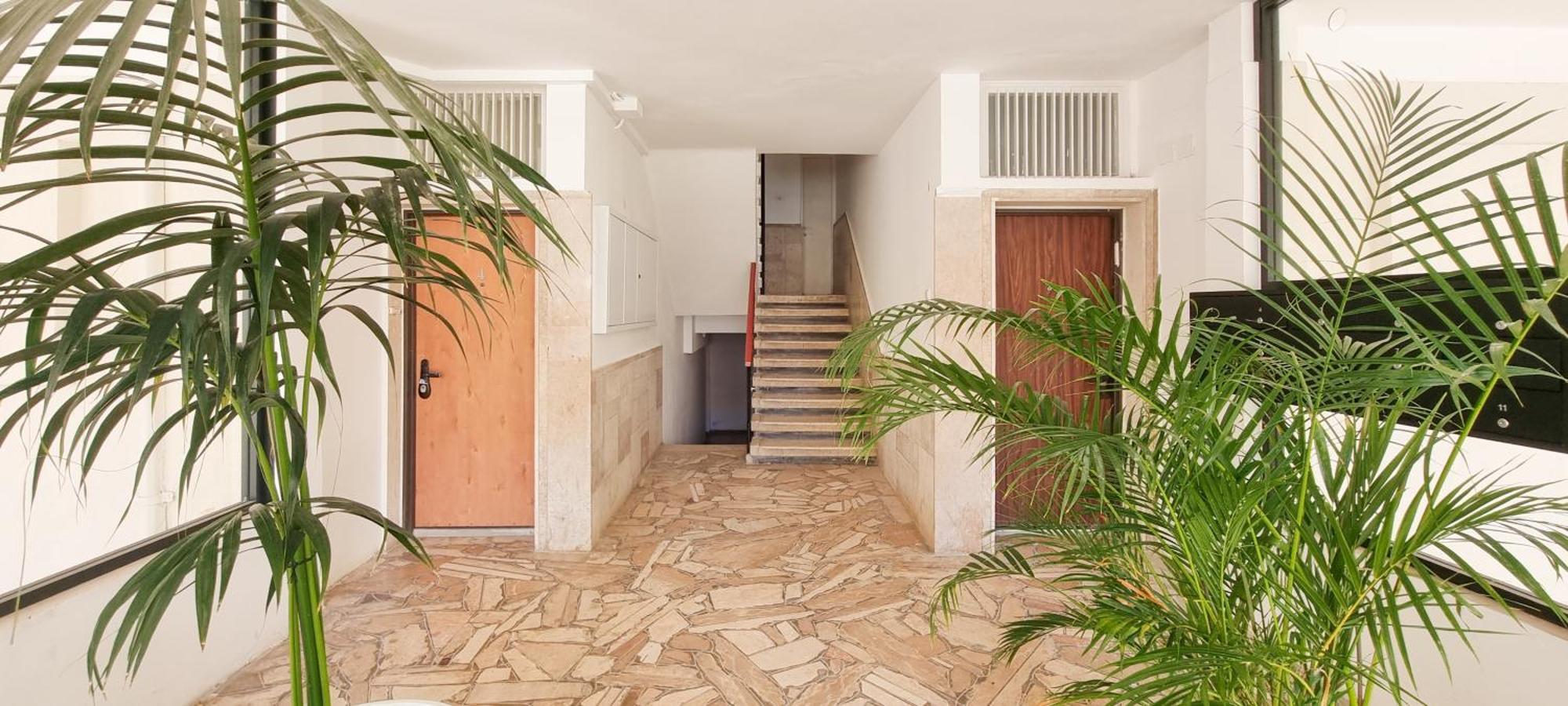 תל אביב Bnb Israel Apartments - Harav Kook Lilas מראה חיצוני תמונה